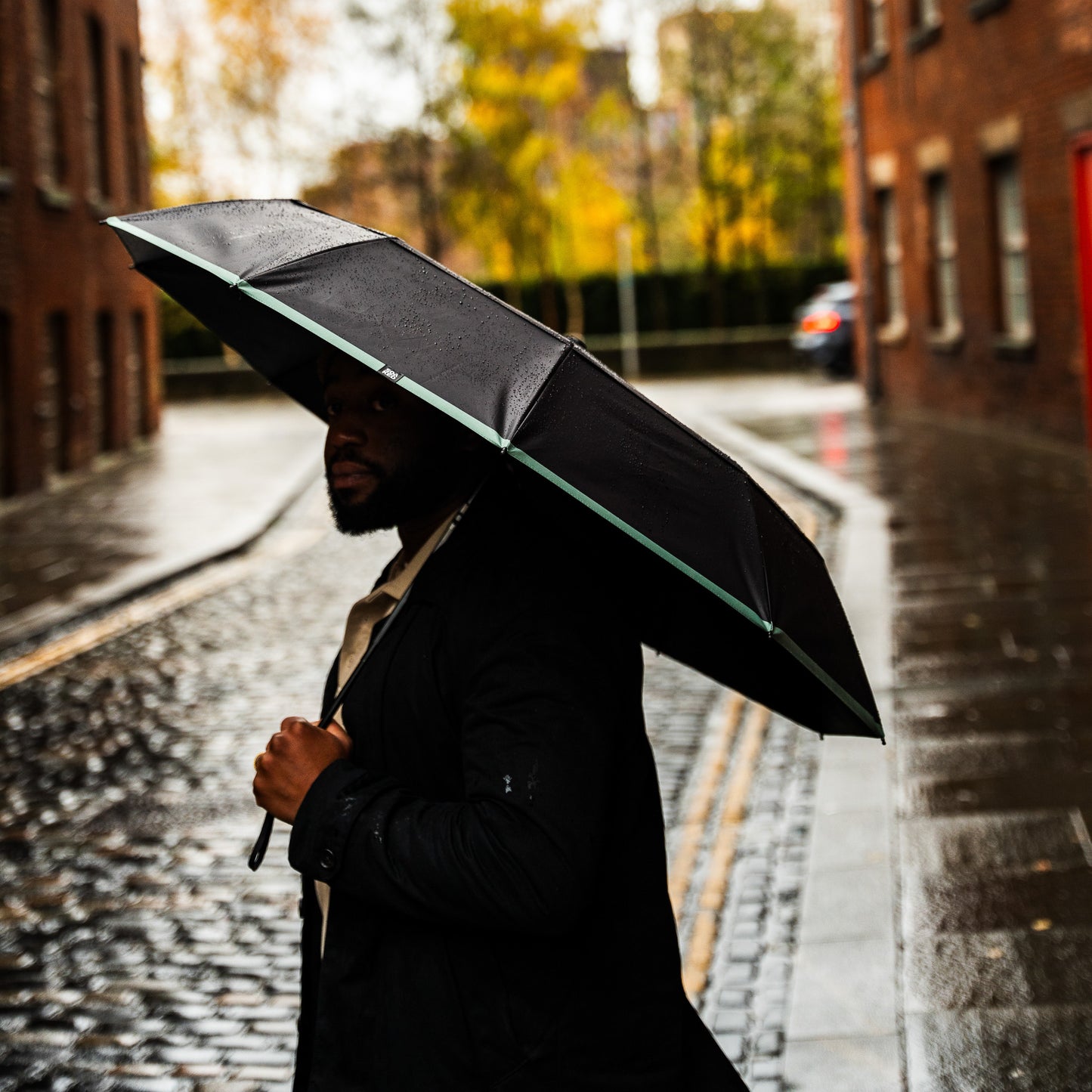 Liquorice Twist Umbrella