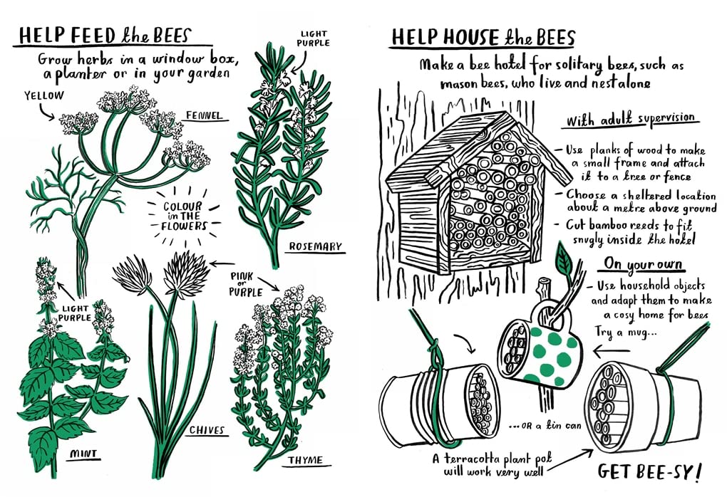 Hello Nature Activity Book