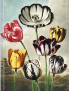 Temple of Flora: Tulips Artisan Art Notebook