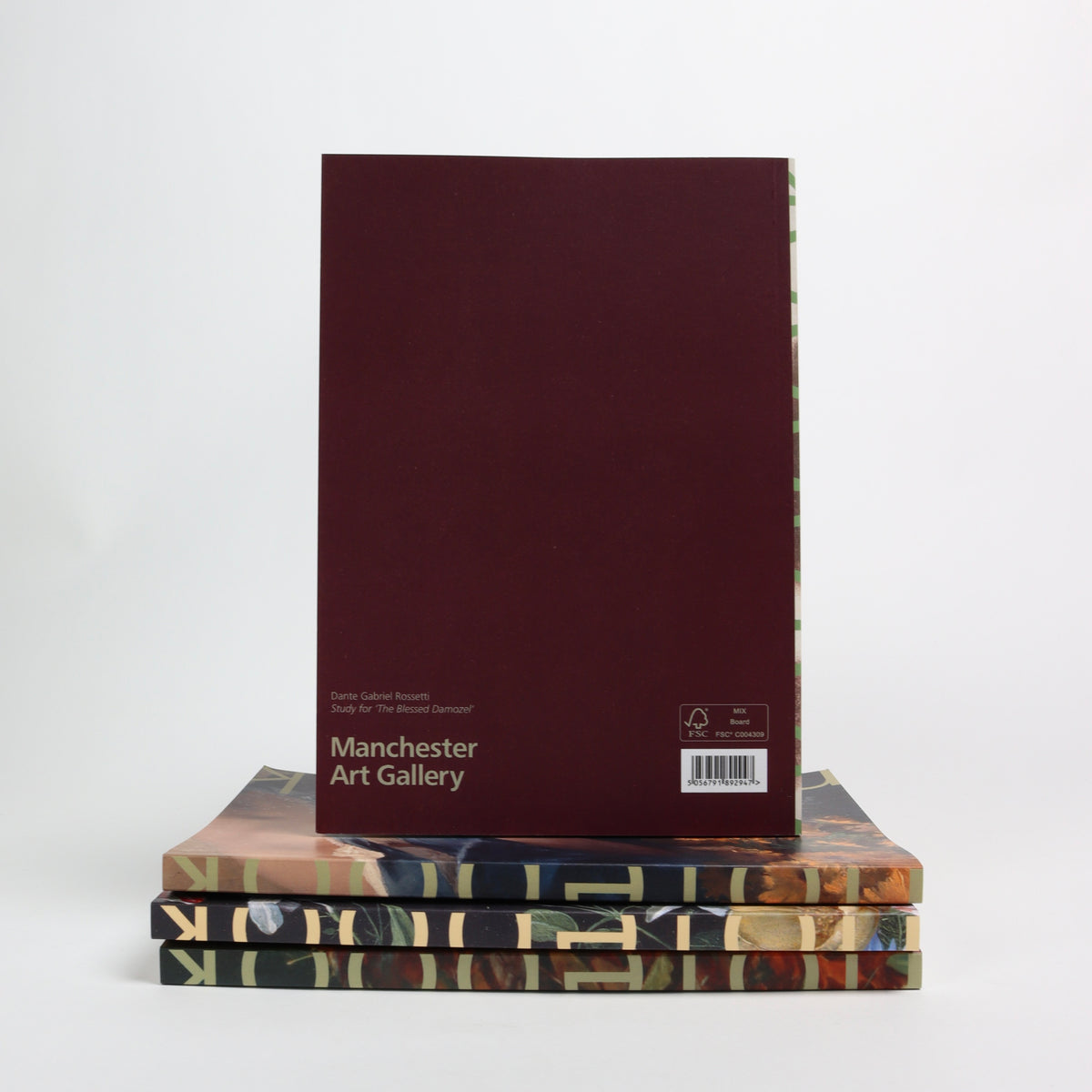 Study For 'Blessed Damozel Notebook