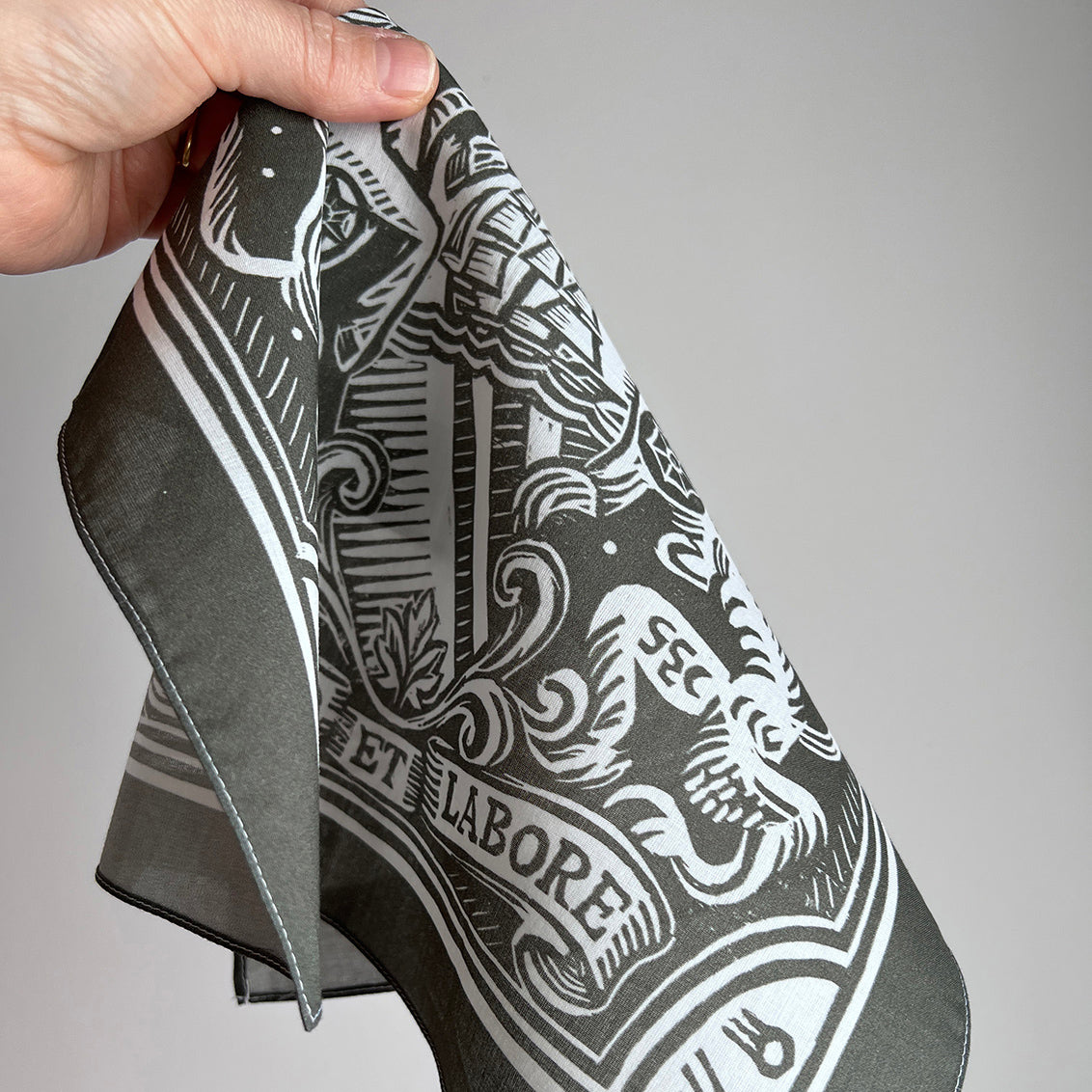 Heraldic Hankie by Mr.PS