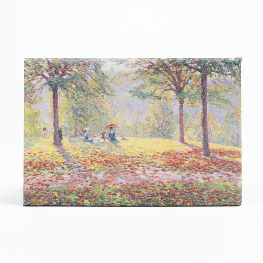 Magnet - The Picnic