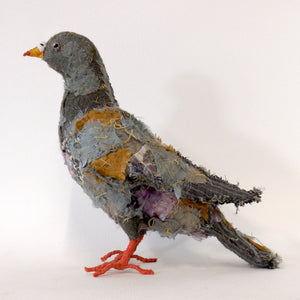 Manchester Posh Pigeon