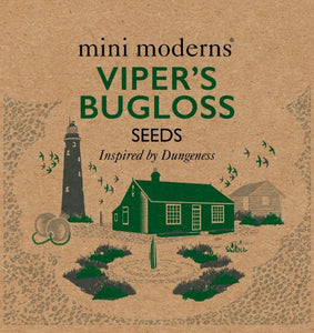 Seeds - Viper's Bugloss