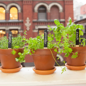 Reusable garden markers in pots 