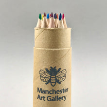 Load image into Gallery viewer, Coloured Pencils in a Tube

