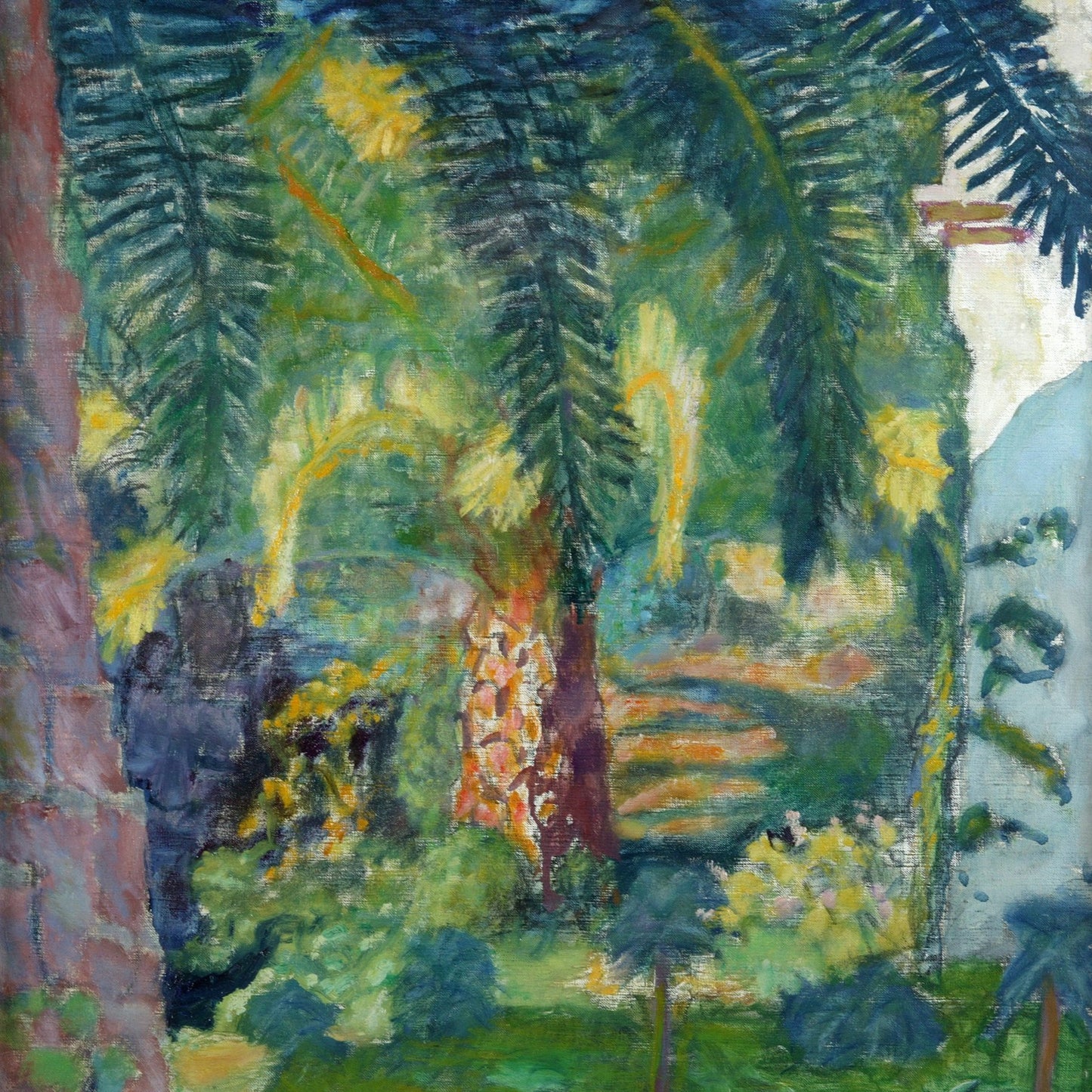 Greetings Card - Palm Trees