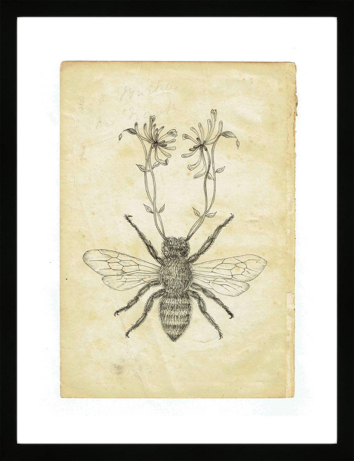 Honeybee by Sarah Randles, Limited Edition Print